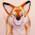 Foxy Kitsune